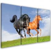Leinwandbild 3-teilig, Pferde im Galopp 