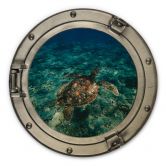 Holzbild 3D Optik - Schildkröte von oben - Rund 