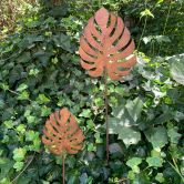 Monstera 2er Set Gartenstecker Edelrost-Optik Metallschild 