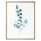 Poster Goed Blauw - Das Eukalyptusblatt 