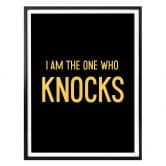 Poster I am the one who knocks 