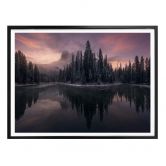 Poster Castan - Fairytale Forest 