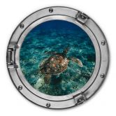 Alu-Dibond 3D Optik - Schildkröte von oben - Rund 