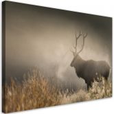 Leinwandbild, Hirsch in der Nebel Natur 