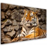 Leinwandbild 3-teilig, Afrika Tiger Tiere 