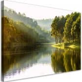 Leinwandbild, Landschaft Waldbaum Natur 