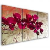 Leinwandbild 3-teilig, Orchidee Blumen Rosa 