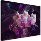 Leinwandbild, Weiße Orchidee  Blumen Pflanzen 