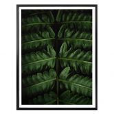 Poster Botanical 02  