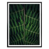 Poster Botanical 03 