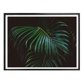Poster Botanical 04 