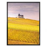 Poster Colombo - Weinfelder in der Champagne 