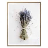 Poster Das Bündel Lavendel 