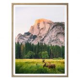 Poster Deers in the Mountains 