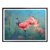 Poster Delgado - Wildblumen Aquamarin 