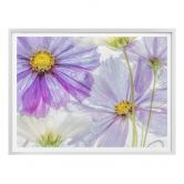 Poster Disher - Frozen Flowers 