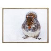 Poster - Eichhörnchen 04 