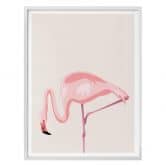 Poster Flamingo 02 