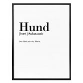 Poster Grammatik - Hund 