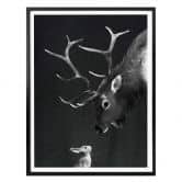 Poster Graves - Deer and Rabbit 