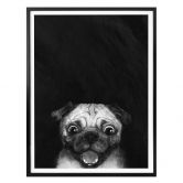 Poster Graves - Snuggle Pug 