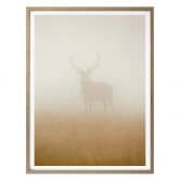 Poster Harling - Hirsch im Nebel 