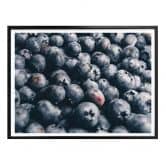 Poster Heidelbeeren 