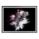 Poster Hugonnard - Wild Explosion: Zwei Zebras 