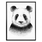 Poster Kvilis - Pandabär 