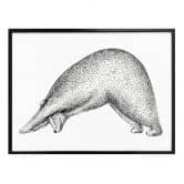 Poster Kvilis - Ours Yoga 01 