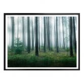 Poster Lindsten - Im Wald 