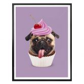 Poster Loose - Pugcake 