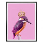 Poster Loose - Queenfisher 