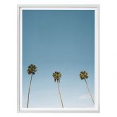 Poster Palm Trees 02 