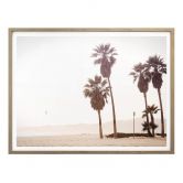 Poster Palm Trees 