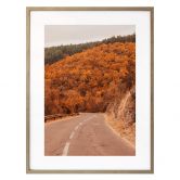 Poster L’automne dans la forêt 