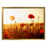 Poster Sonnenflut im Mohnfeld 