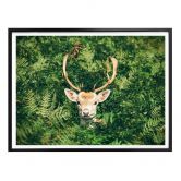 Poster Versteckspiel im Wald 