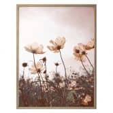 Poster Wilde Wiese 