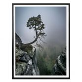 Poster Wonisch - Kräfte der Natur 
