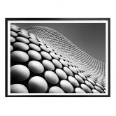 Poster Wride - Curve 
