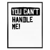 Poster You can't handle me 