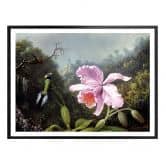 Poster Heade - Stillleben mit Orchidee und Kolibris 