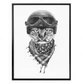 Poster Kools - Biker Cat 