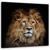 Leinwandbild, Majestätischer Löwe 