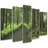 Leinwandbild 5 teilig, Wald Straße Bäume Natur 