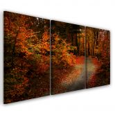 Leinwandbild 3-teilig, Wald Herbstblätter Natur 