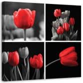 Leinwandbild, Rote Tulpen Blumen 