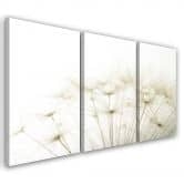 Leinwandbild 3-teilig, Gebläse Blumen Natur 