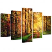 Leinwandbild 5 teilig, Wald Herbst 